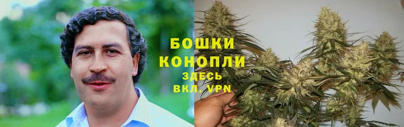 Шишки марихуана Bruce Banner  Вытегра 